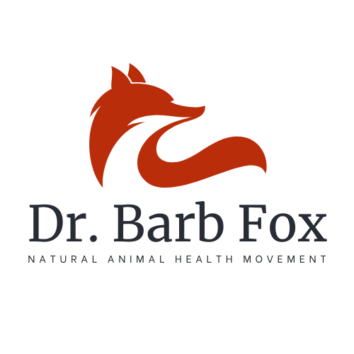 Dr. Barb Fox